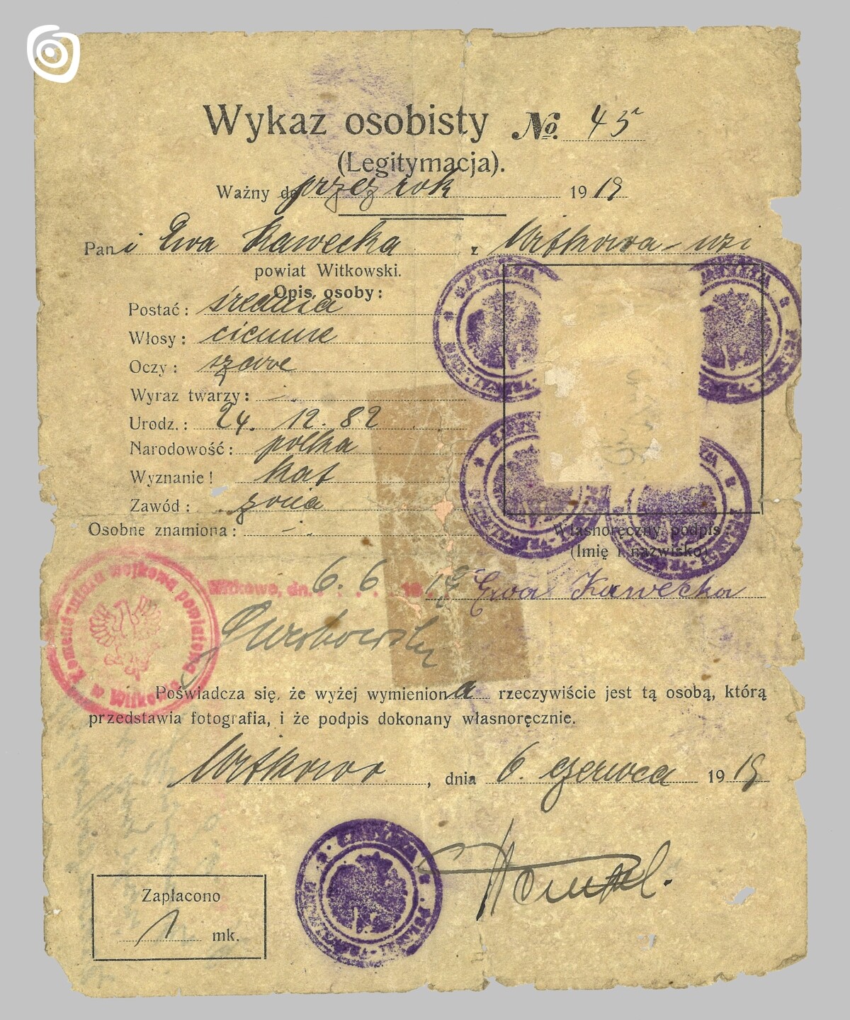 Dokument - Wykaz osobisty, Gniezno, 1919 r.