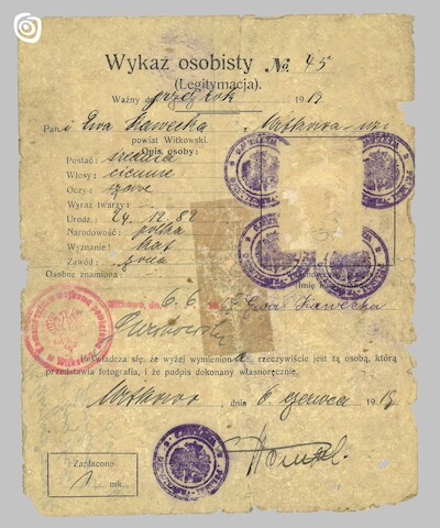 Dokument - Wykaz osobisty, Gniezno, 1919 r.