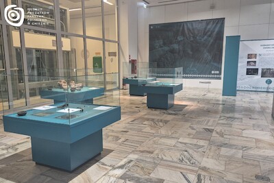 Fot. Estera Burzańska, MPPP